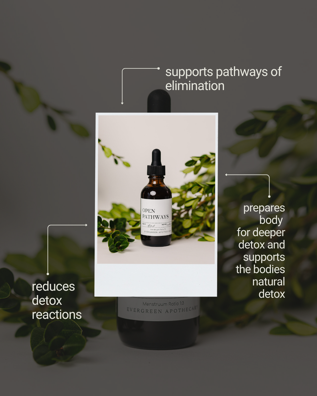 Open Pathways (Tincture)